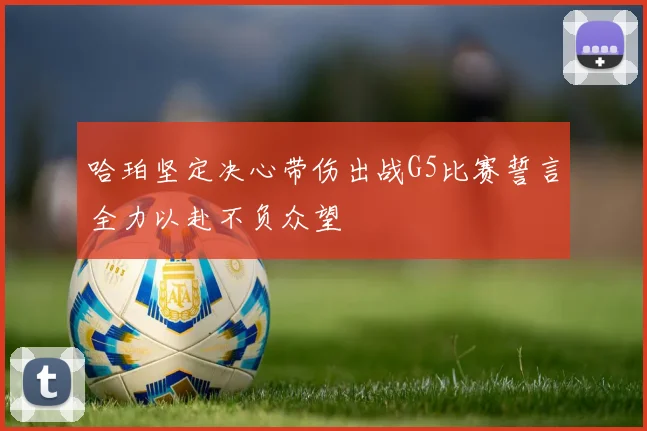 哈珀坚定决心带伤出战G5比赛誓言全力以赴不负众望